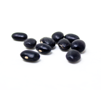 Frijol Negro